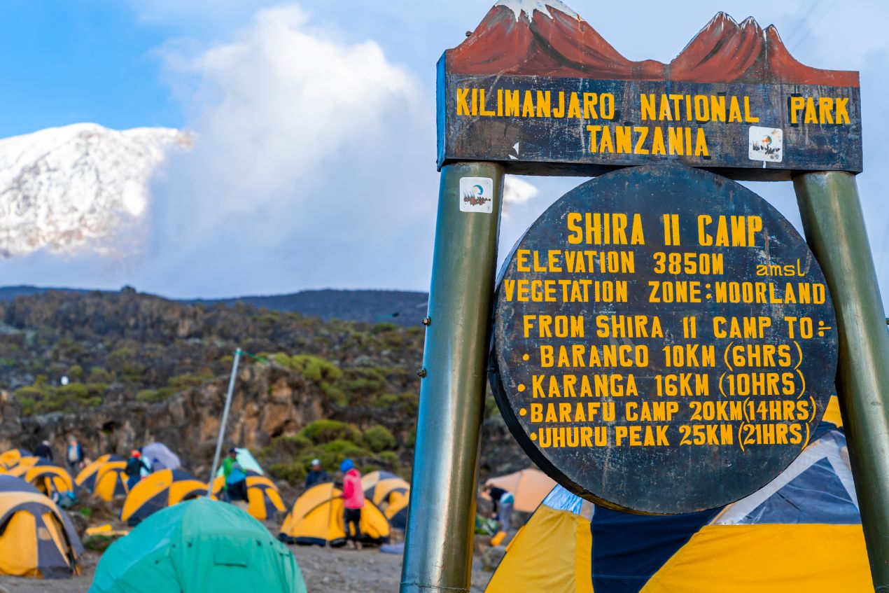 Shira II Camp im Kilimandscharo Nationalpark mit Zelten und Blick auf die schneebedeckten Gipfel – ein Etappenziel bei der Besteigung Kilimandscharo.